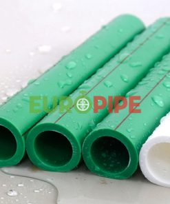 europipevietnam_eu-ppr-anh1